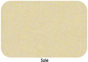 sole-300x213